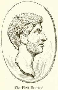 Il Primo Bruto