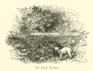 Il Primo Tunnel da English School