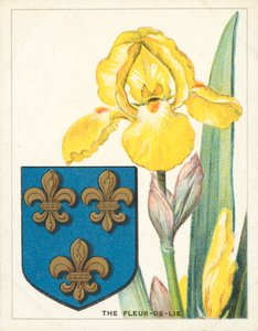 Il giglio (cromolitografia)