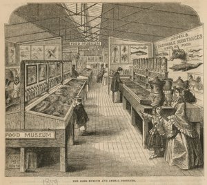 Il Museo del Cibo e dei Prodotti Animali, Museo di South Kensington da English School