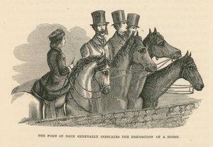 La forma del collo indica generalmente la disposizione del cavallo (incisione) da English School