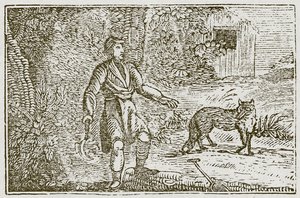 La volpe e il contadino (incisione)