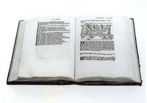La volpe e l