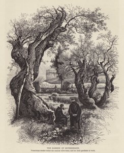 Il Giardino del Getsemani (incisione) da English School