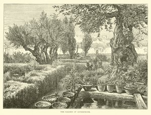 Il Giardino del Getsemani da English School