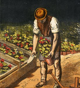 Il Giardiniere, 1867
