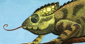 Il Gigante Camaleonte