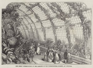 La grande serra nei giardini della Società orticola, a Chiswick (incisione) da English School