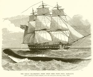 Il grande serpente marino visto per la prima volta dalla H.M.S. Daedalus da English School
