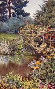Il giardino delle erbe: Erbe lungo il fiume da English School
