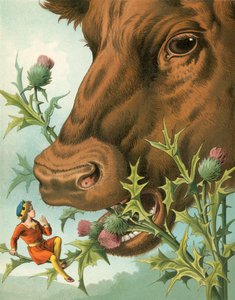 La storia di Pollicino