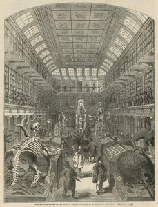 Il Museo Hunterian al Royal College of Surgeons