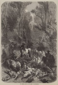 La caccia imperiale nella foresta di Fontainebleau (incisione) da English School