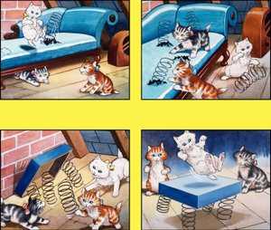 Il trampolino del gattino