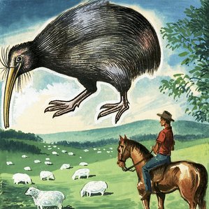 Il Kiwi, emblema della Nuova Zelanda da English School