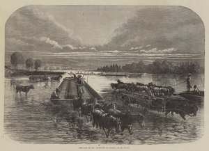 La terra dell