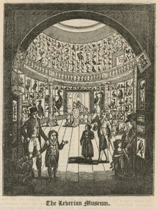 Il Museo Leverian da English School