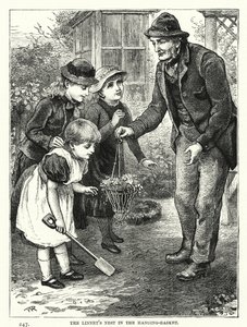 Il nido del fanello nel cesto sospeso (incisione) da English School