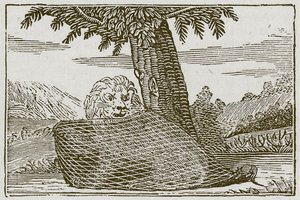 Il leone e il topo (incisione)
