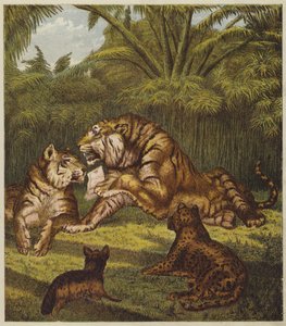La ricezione del leone (litografia a colori) da English School
