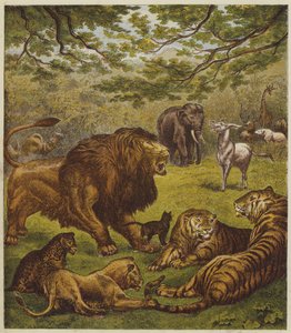 La Ricezione del Leone da English School