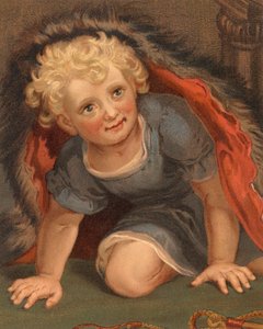 Il piccolo orso