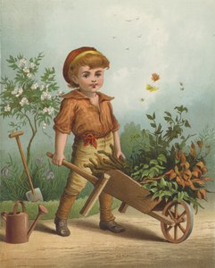 Il piccolo giardiniere