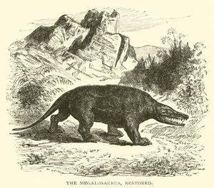 Il Megalosauro, restaurato da English School