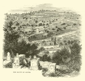 Il Monte degli Ulivi da English School