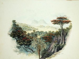 Le Montagne, Ceylon da English School
