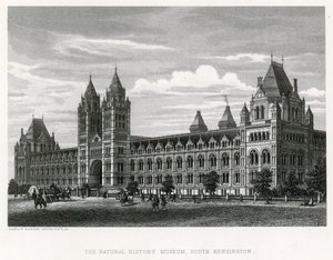 Il Museo di Storia Naturale, 1881 da English School