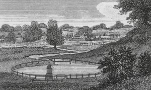 Il Nuovo Fiume, Hertfordshire da English School