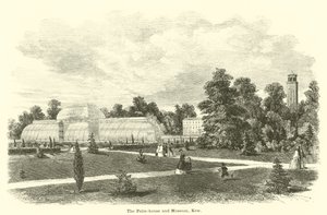 La serra delle palme e il museo, Kew