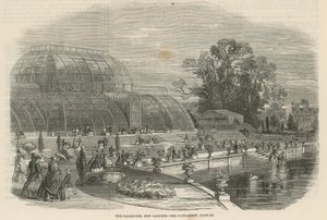 La Casa delle Palme, Giardini di Kew, Londra da English School