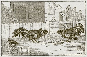 La pernice e i galli (incisione)