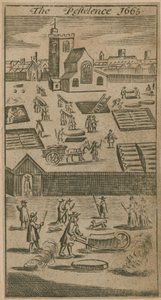 La pestilenza 1665 da English School