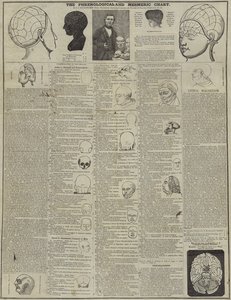 La carta frenologica e mesmerica da English School