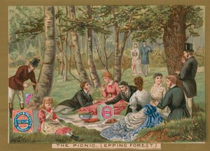 Il picnic, foresta di Epping da English School