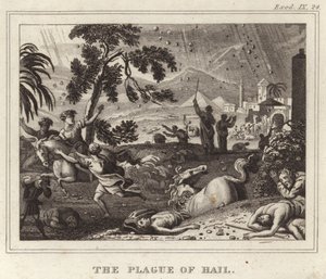La piaga della grandine