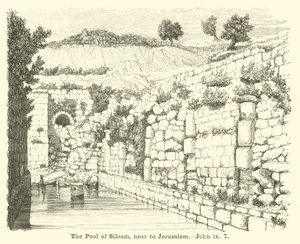 La piscina di Siloe, vicino a Gerusalemme, Giovanni, ix, 7 da English School