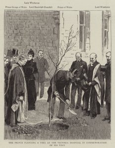 Il Principe che pianta un albero all