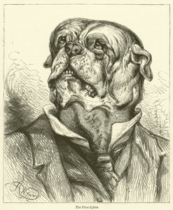 Il pugile