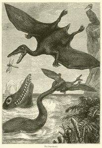 Il pterodattilo da English School