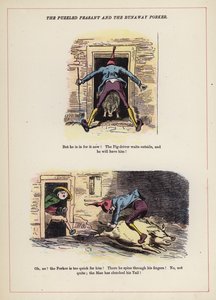 Il contadino confuso e il maiale fuggitivo