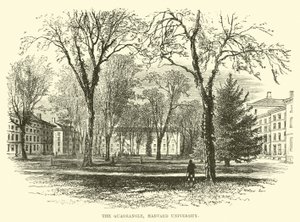 Il Quadrilatero, Università di Harvard