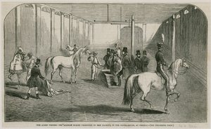 La Regina osserva i cavalli arabi presentati a Sua Maestà, nella casa di equitazione a Pimlico da English School