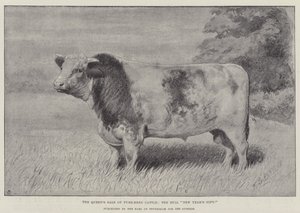 La vendita della Regina di bovini di razza pura, il toro "Dono di Capodanno," acquistato dal Conte di Feversham per 1000 Ghinee (litografia) da English School