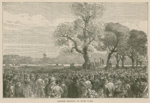 La Dimostrazione della Riforma a Hyde Park, 6 maggio 1867 da English School