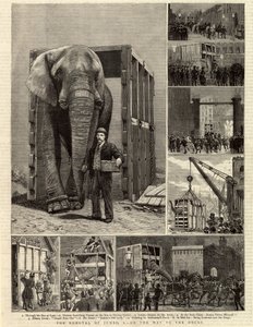 La rimozione di Jumbo