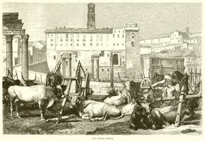 Il Foro Romano da English School
